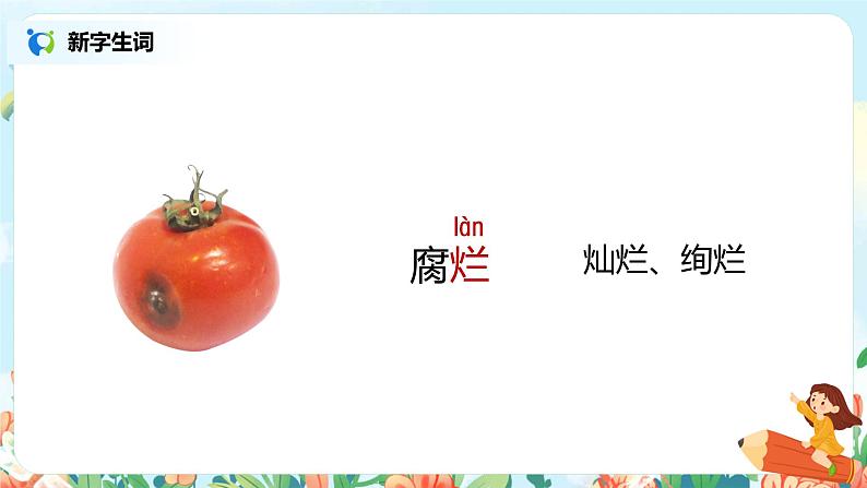 21.青蛙卖泥塘（第1课时）课件（送教案+同步练习）05