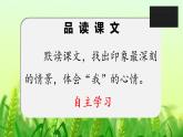 第二课 祖父的园子 第二课时课件PPT