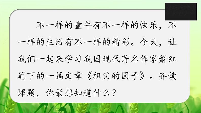 第二课 祖父的园子 第一课时课件PPT第2页