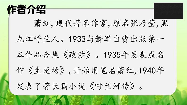 第二课 祖父的园子 第一课时课件PPT第4页