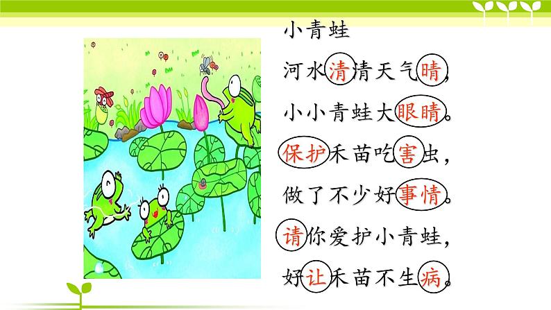 人教部编版语文一年级下册《识字（一）——小青蛙》课件32第5页