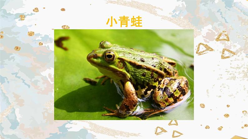 人教部编版语文一年级下册《识字（一）——小青蛙》课件8第4页