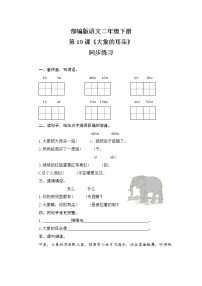 小学语文人教部编版二年级下册19 大象的耳朵精品课时练习