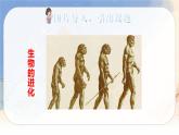 （新版）人教版语文五年级下册 第八单元 23 童年的发现 PPT课件+教案