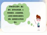 （新版）人教版语文五年级下册 第八单元 23 童年的发现 PPT课件+教案