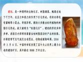 （新版）人教版语文4年级下册 第二单元   5 琥珀 PPT课件+教案