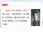 （新版）人教版语文4年级下册 第三单元   11 白桦 PPT课件+教案
