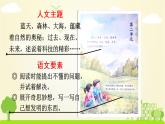 统编四年级语文下册 第二单元5.琥珀 PPT课件+教案