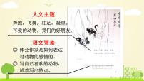 人教部编版第四单元13 猫教学演示课件ppt