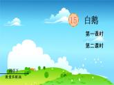 统编四年级语文下册 第四单元15.白鹅 PPT课件+教案