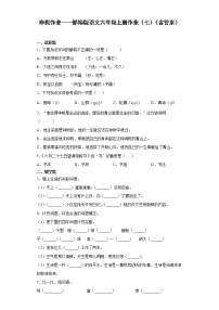 寒假作业——部编版语文六年级上册作业（七）（含答案）