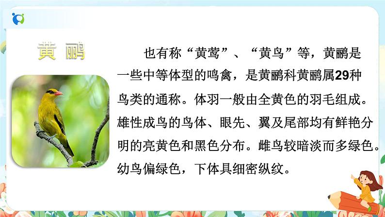 15《古诗二首》（课件+教案+音视频素材+练习）08