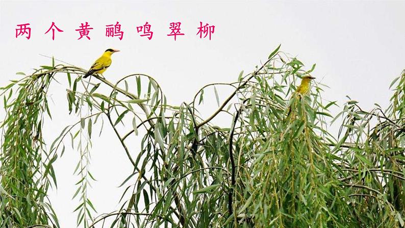 15《古诗二首》（课件+教案+音视频素材+练习）04