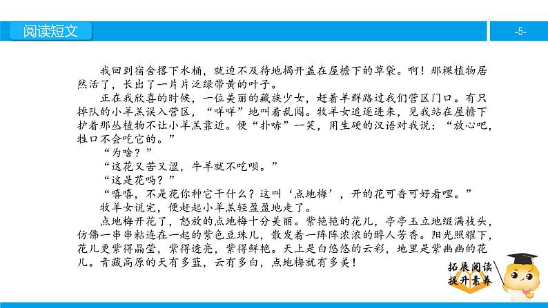 六年级课外阅读： 烂漫的点地梅（上）课件PPT第5页