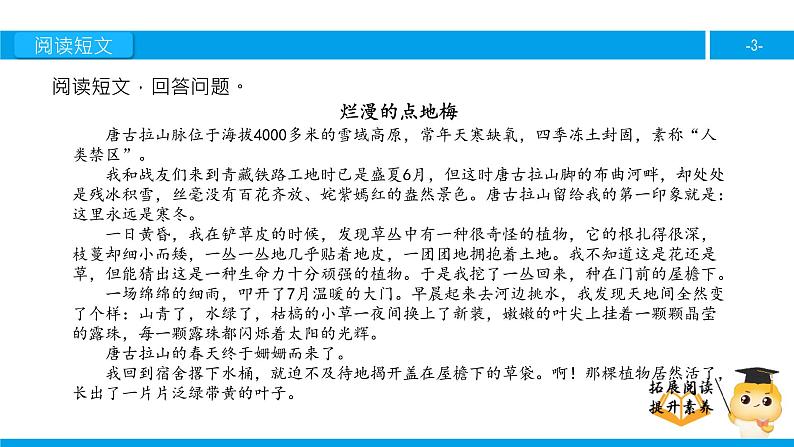 六年级课外阅读： 烂漫的点地梅（下）课件PPT第3页