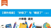 六年级课外阅读：“妙极了”与“糟透了”（上）课件PPT