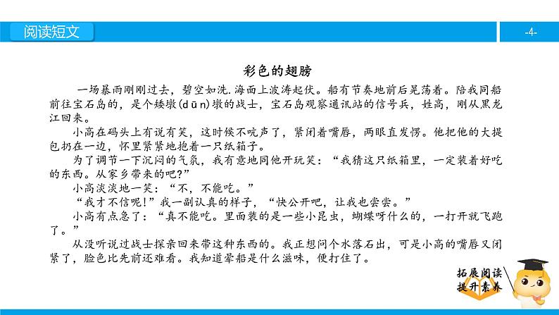 六年级课外阅读：彩色的翅膀（上）课件PPT第4页