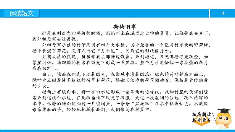 六年级课外阅读：荷塘旧事 （上）课件PPT第4页