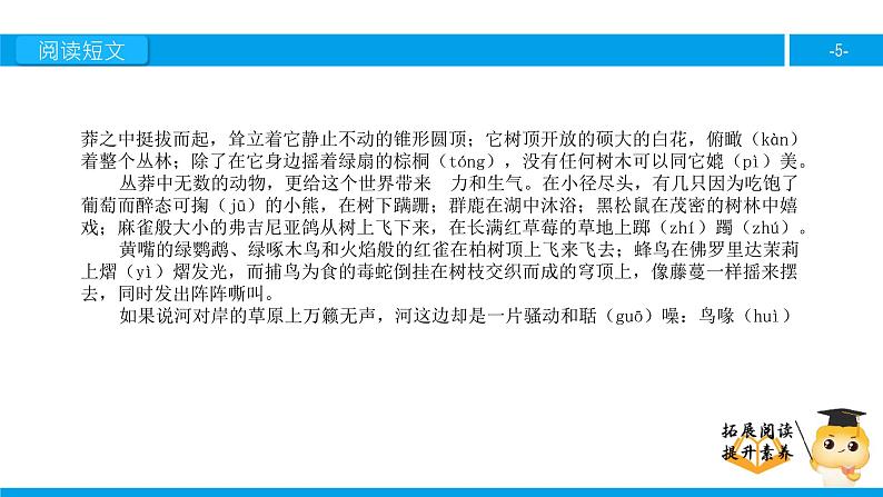 六年级课外阅读：密西西比河（上）课件PPT第5页