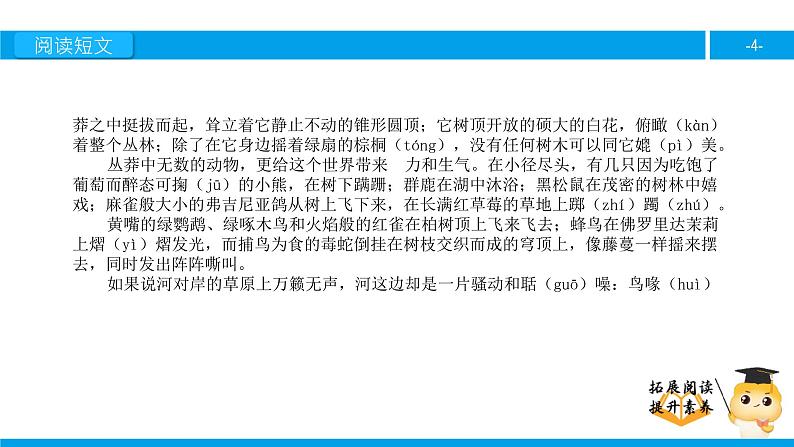 六年级课外阅读：密西西比河（下）课件PPT第4页