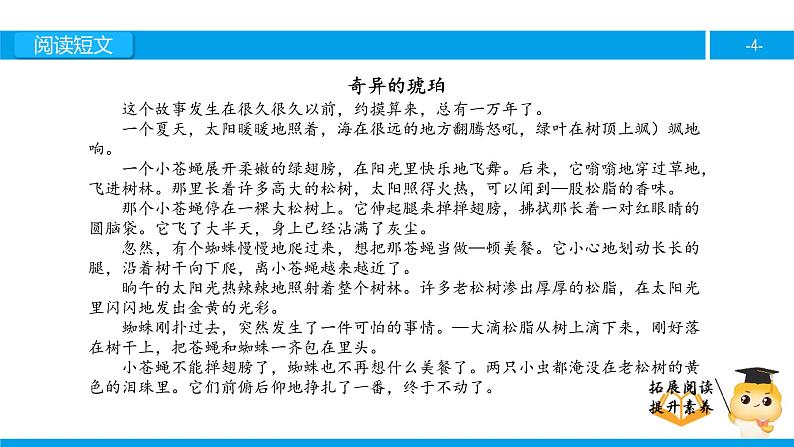 六年级课外阅读：奇异的琥珀（上）课件PPT第4页