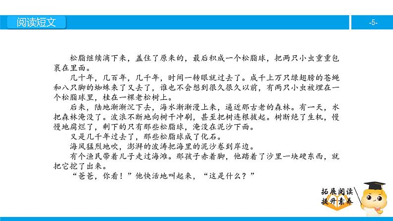 六年级课外阅读：奇异的琥珀（上）课件PPT第5页