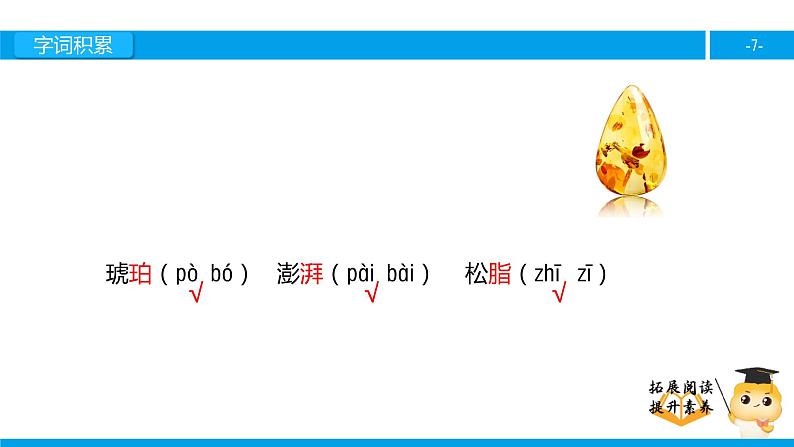 六年级课外阅读：奇异的琥珀（上）课件PPT第7页