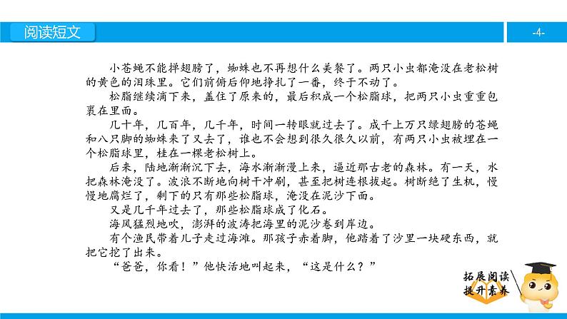 六年级课外阅读：奇异的琥珀（下）课件PPT第4页