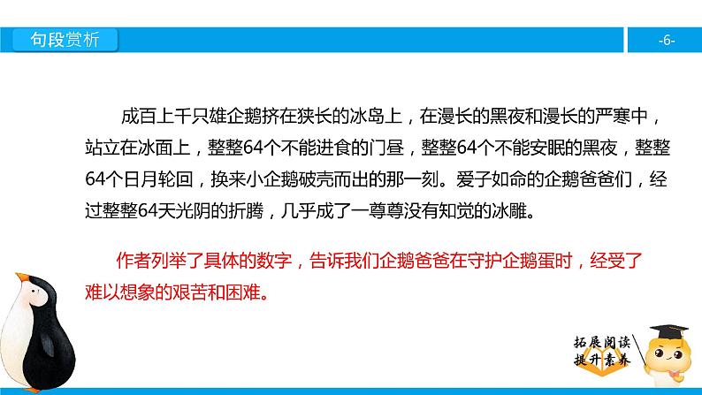 六年级课外阅读：企鹅爸爸（下）课件PPT第6页