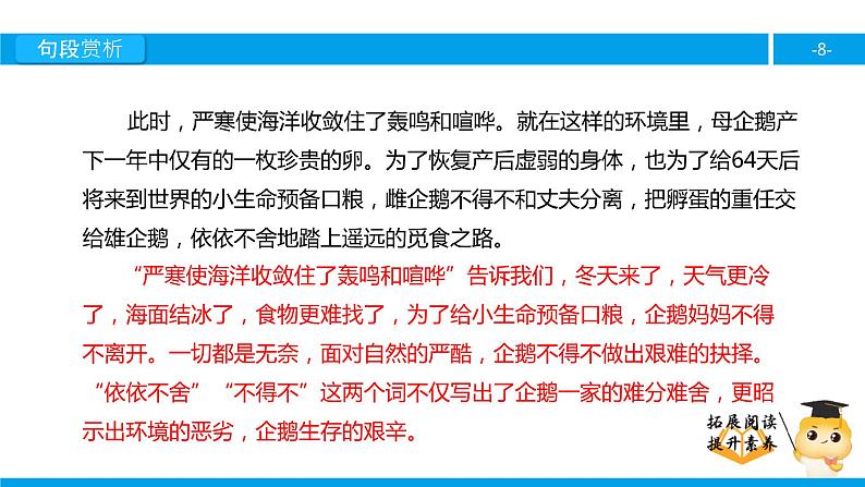 六年级课外阅读：企鹅爸爸（下）课件PPT第8页