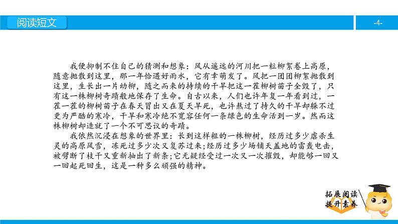 六年级课外阅读：青海高原一株柳（下）课件PPT第4页