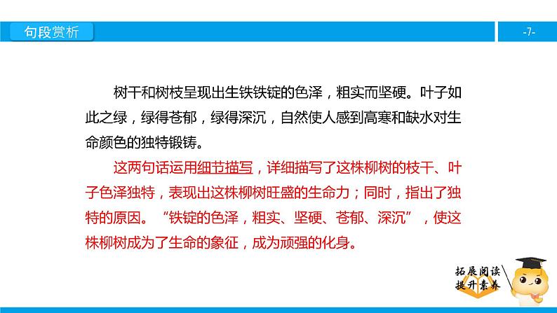 六年级课外阅读：青海高原一株柳（下）课件PPT第7页