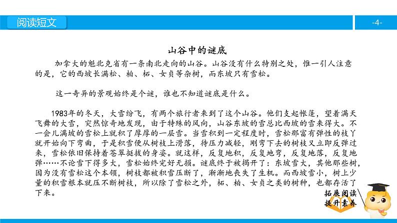 六年级课外阅读：山谷中的谜底（上）课件PPT第4页