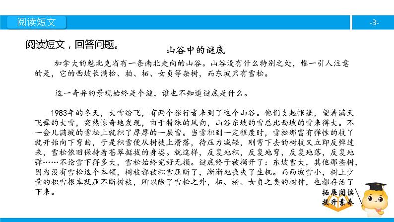 六年级课外阅读：山谷中的谜底（下）课件PPT第3页