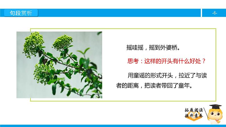 六年级课外阅读：绍兴的船啊，绍兴的桥（下）课件PPT06