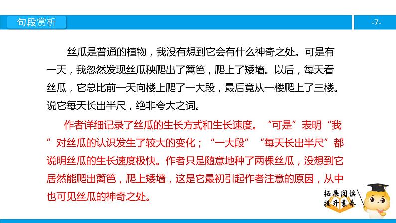 六年级课外阅读：神奇的丝瓜（下）课件PPT第7页