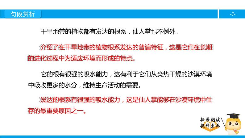 六年级课外阅读：仙人掌（下）课件PPT第7页