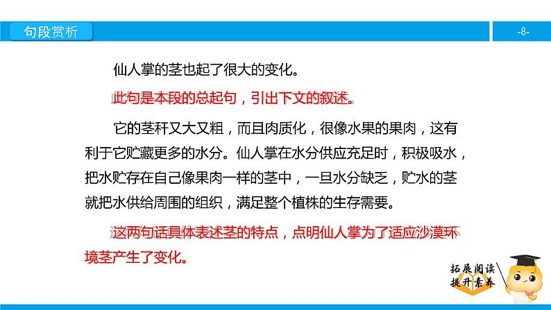 六年级课外阅读：仙人掌（下）课件PPT第8页