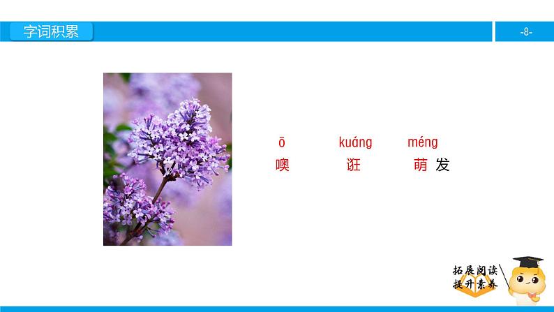 六年级课外阅读：寻找幸运花瓣儿（上）课件PPT第8页