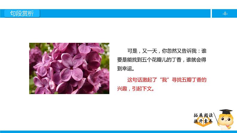 六年级课外阅读：寻找幸运花瓣儿（下）课件PPT第8页