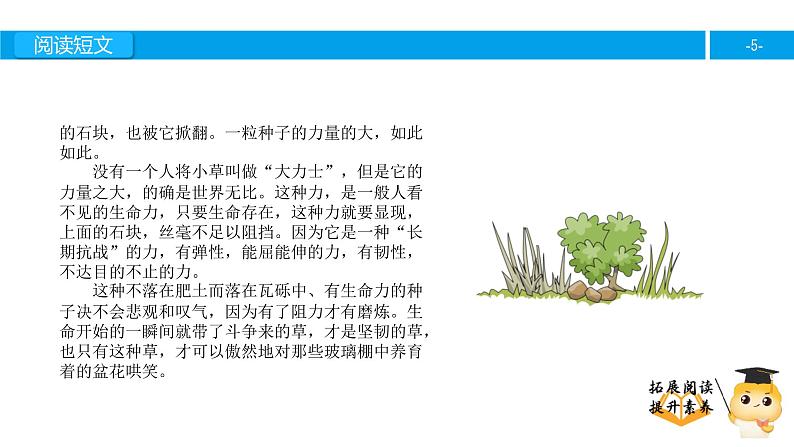 六年级课外阅读：野草 （上）课件PPT第5页