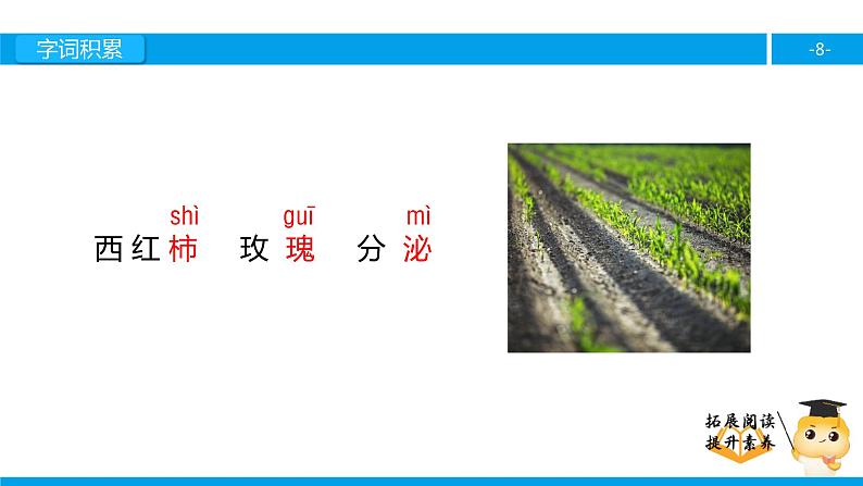 六年级课外阅读：种瓜得豆 （上）课件PPT第8页