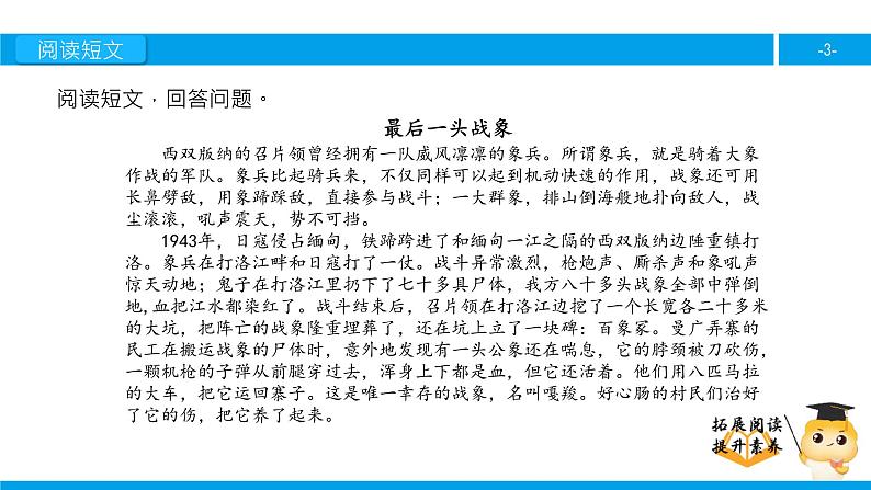 六年级课外阅读：最后一头战象（下）课件PPT第3页