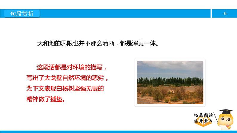 五年级【专项训练】课外阅读：白杨（下）课件PPT第6页