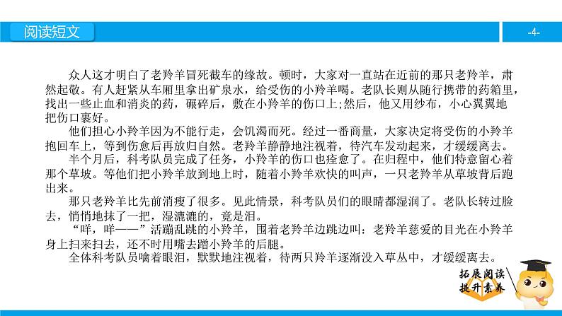 五年级【专项训练】课外阅读：藏羚羊的故事（下）课件PPT第4页