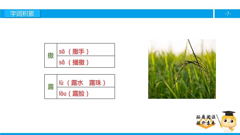 五年级【专项训练】课外阅读：春光染绿我们的双脚（上）课件PPT第7页