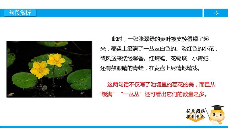 五年级【专项训练】课外阅读：故乡的“水墨画” （下）课件PPT第8页