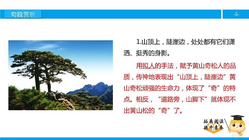 五年级【专项训练】课外阅读：黄山奇松（下）课件PPT第5页