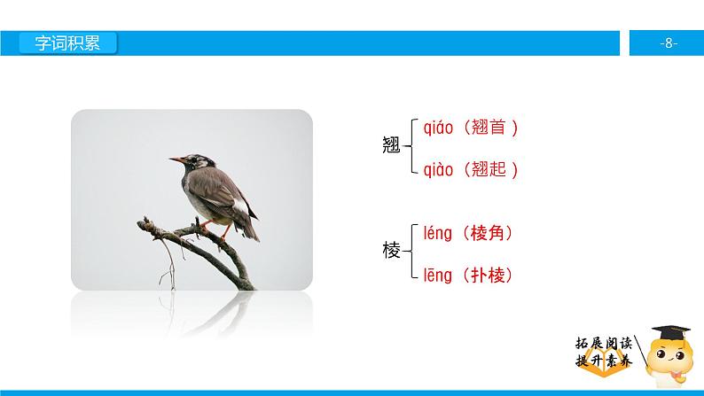 五年级【专项训练】课外阅读：灰椋鸟 （上）课件PPT第8页