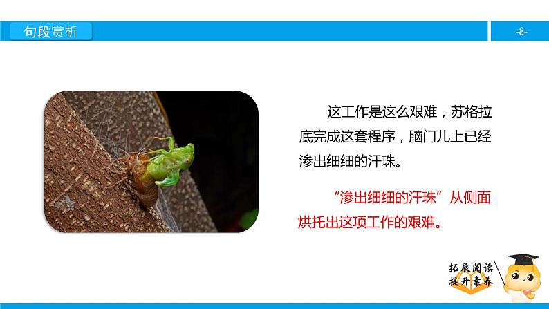 五年级【专项训练】课外阅读：瘸蝉（下）课件PPT08